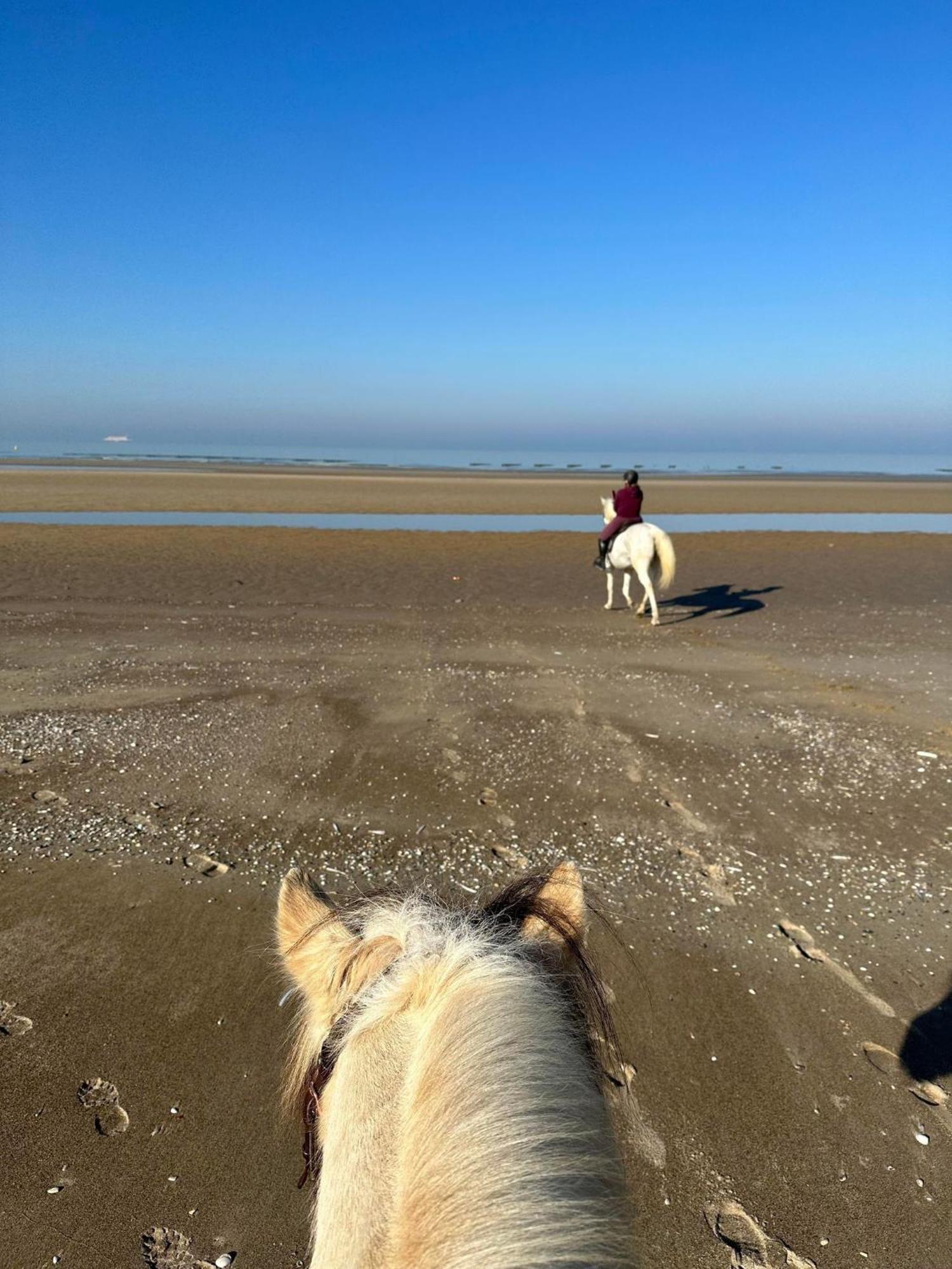 Ferme Equestre Apartment Oye-Plage Luaran gambar